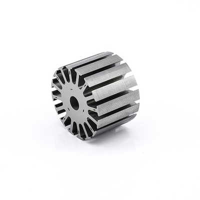 Brushless DC Motor Rotor Silicon Steel Stamping Motor DC Rotor Magnet Permanen